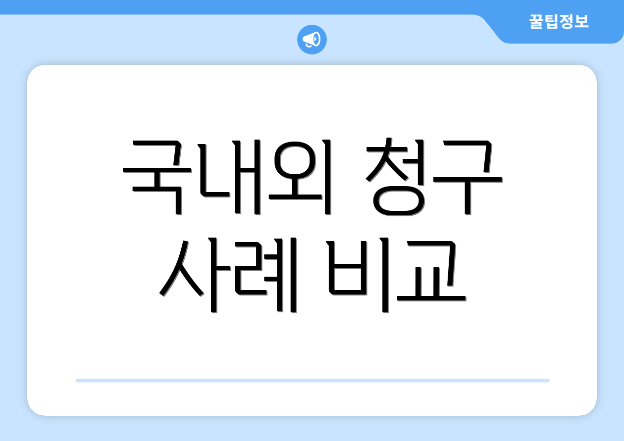 국내외 청구 사례 비교
