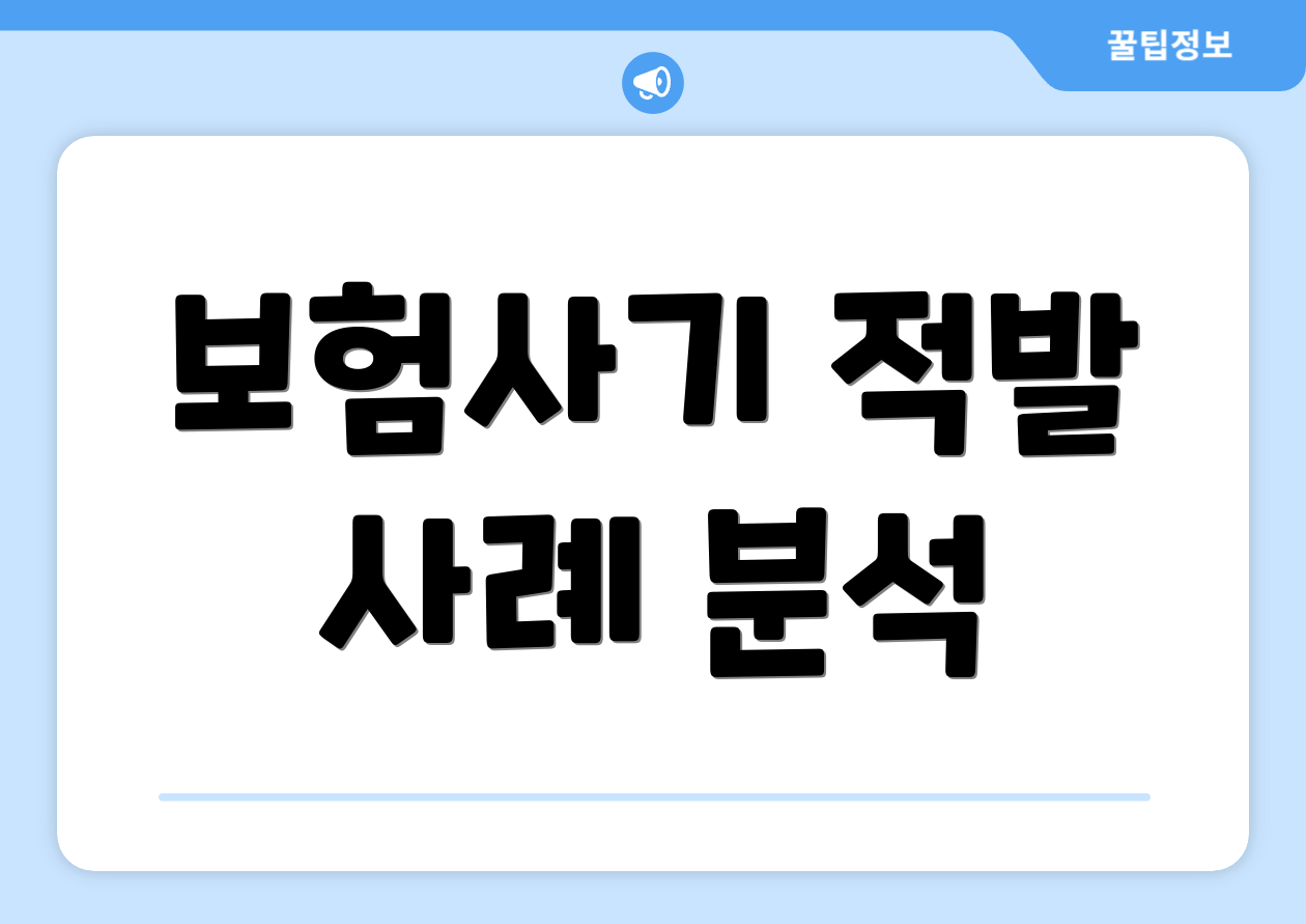 보험사기 적발 사례 분석