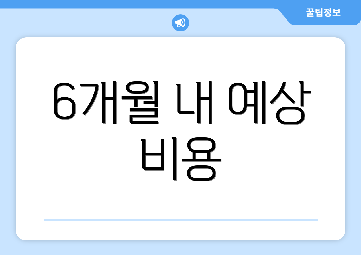 6개월 내 예상 비용