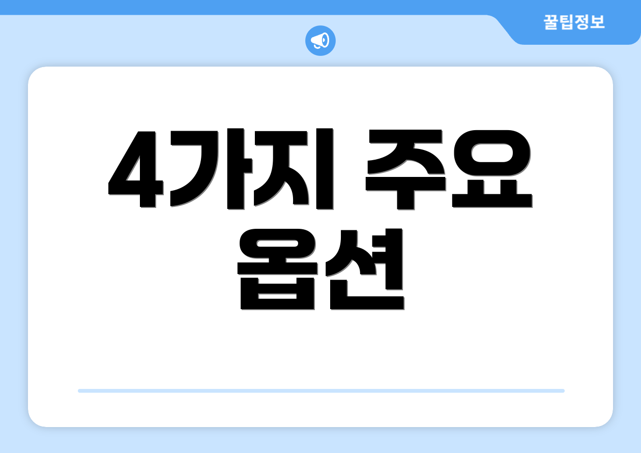 4가지 주요 옵션