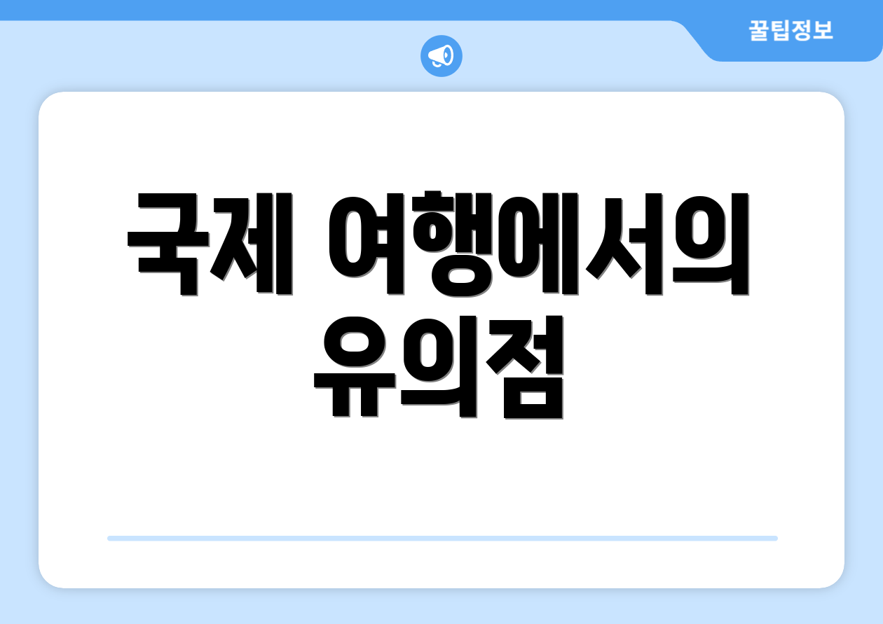 국제 여행에서의 유의점
