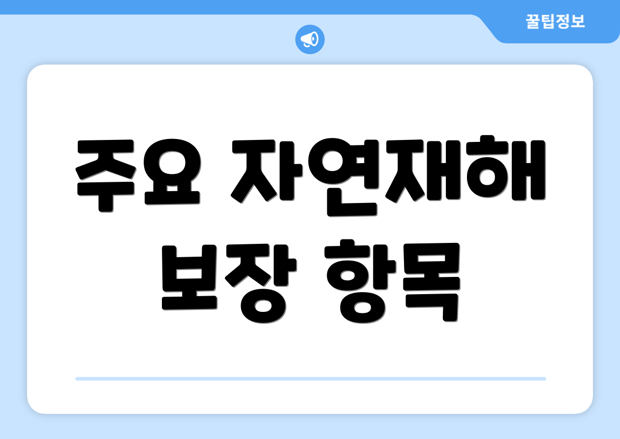 주요 자연재해 보장 항목