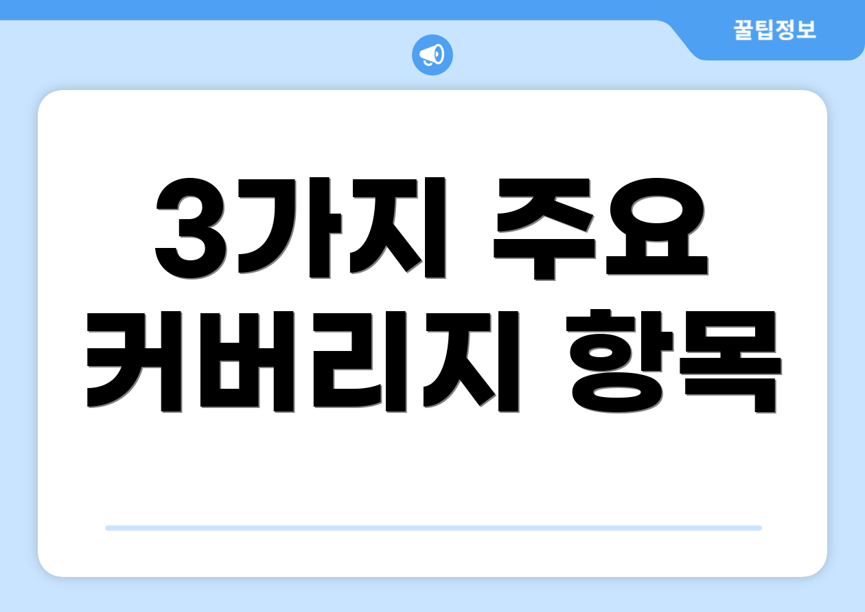 3가지 주요 커버리지 항목