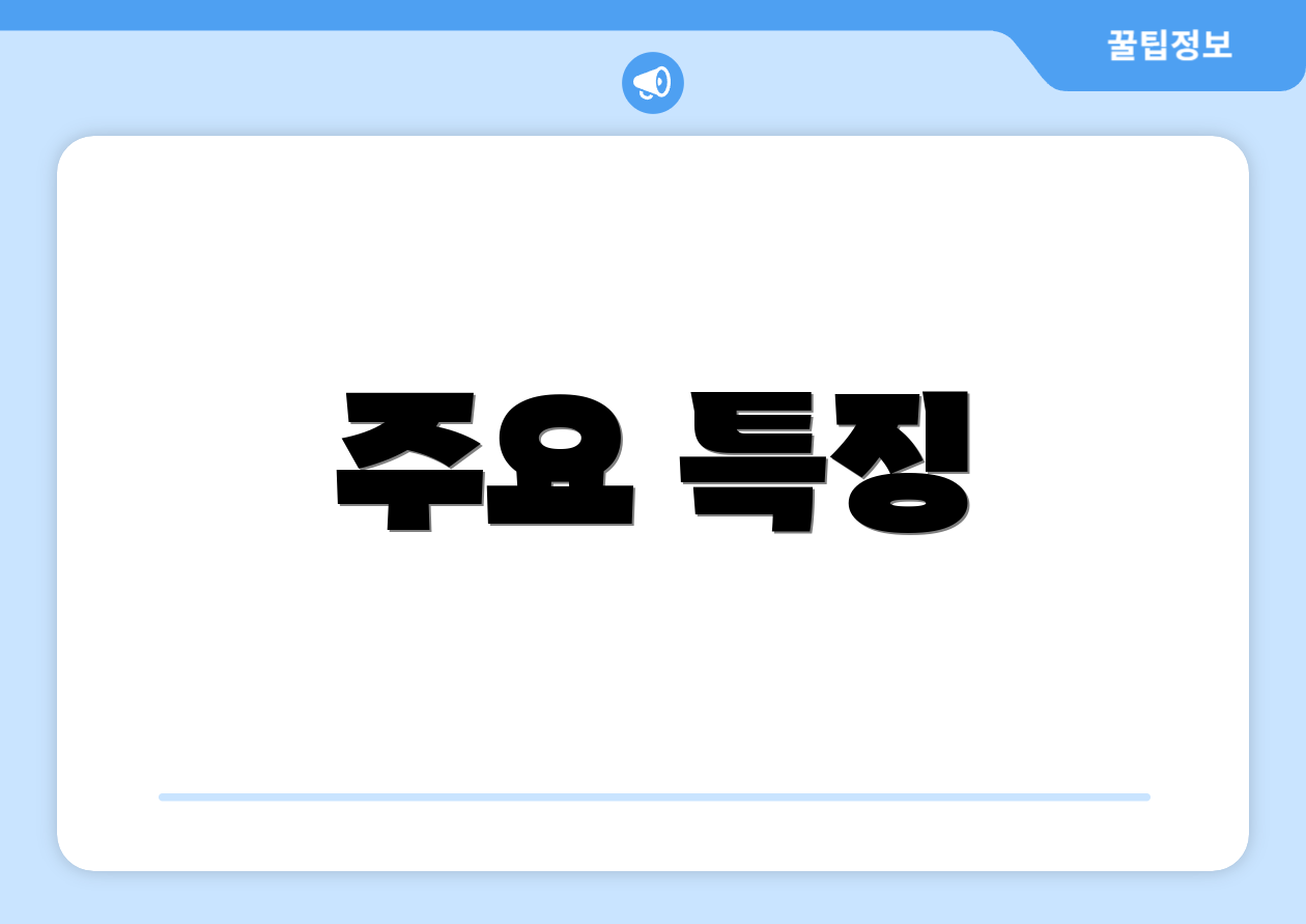 주요 특징